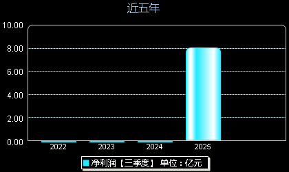 盛龙股份(001257)年净利润