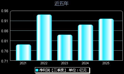 新中港605162年净利润