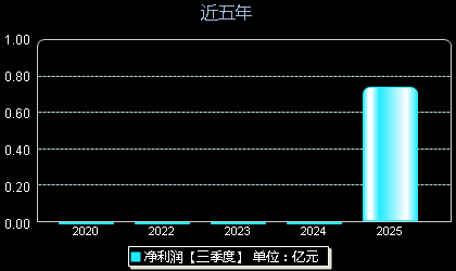 恒坤新材688727年净利润